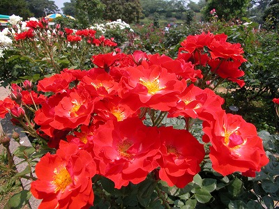 20040530_0016.jpg