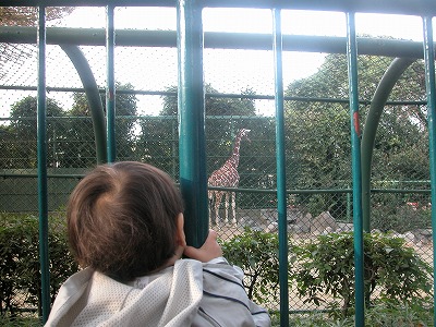 20051113_013.jpg