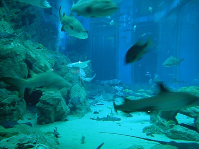 20080222_00011.jpg