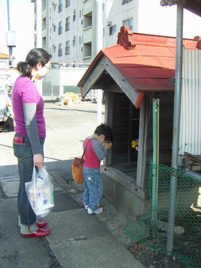 20080315_023.JPG