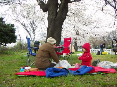 20080330_006.JPG