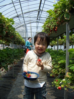 20080430_005.JPG