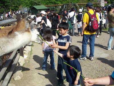 20080504_016.JPG