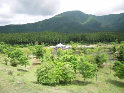 20080531_044.JPG