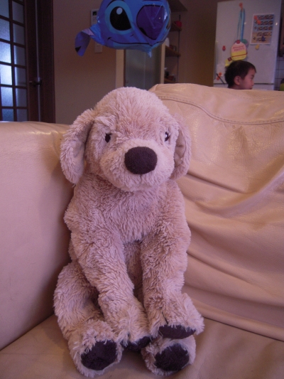 20090429_003.JPG