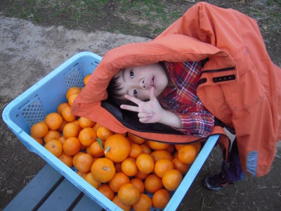 2010-12-05-16-29-19