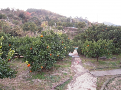 2010-12-05-16-30-40