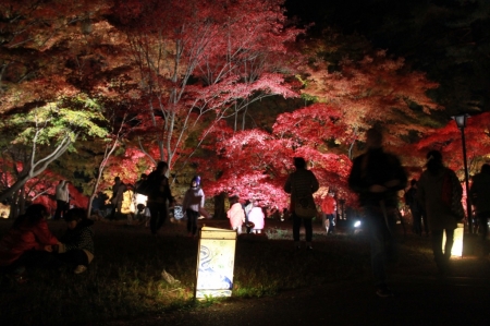 2013-11-24-17-31-08