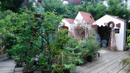 2016-07-17 12-06-26